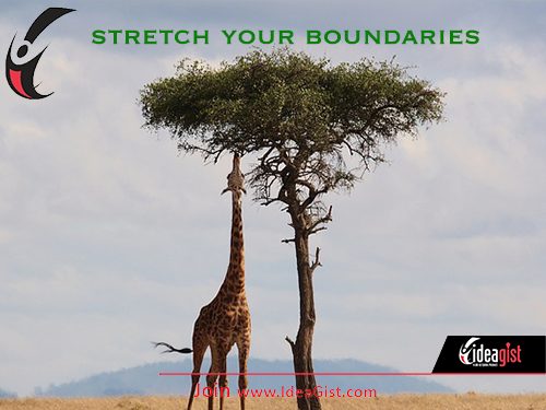 Stretch your boundaries by pushing beyond your comfort zone
